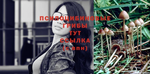 СК Бугульма
