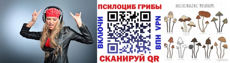 Псилоцибиновые грибы Cubensis  ссылка на мегу рабочий сайт  Мегион 
